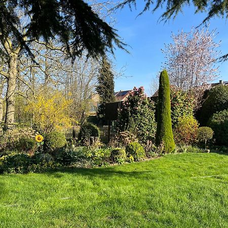 Cedrus Bed & Breakfast Jabbeke  Dış mekan fotoğraf