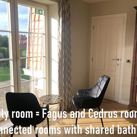 Cedrus Bed & Breakfast Jabbeke  Dış mekan fotoğraf