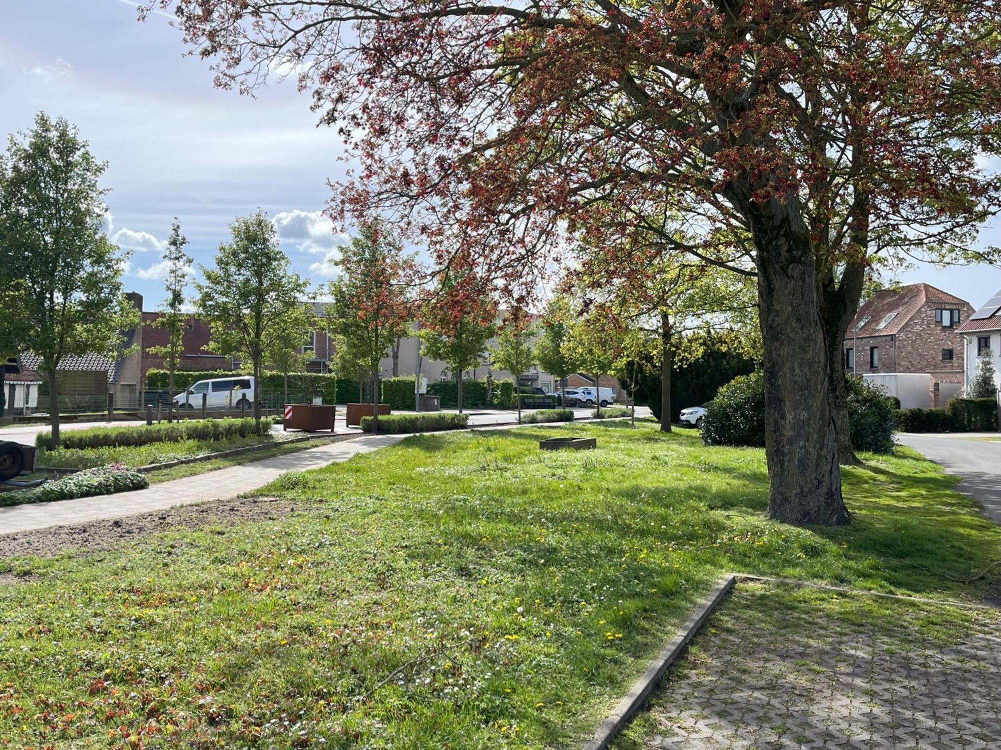 Cedrus Bed & Breakfast Jabbeke  Dış mekan fotoğraf