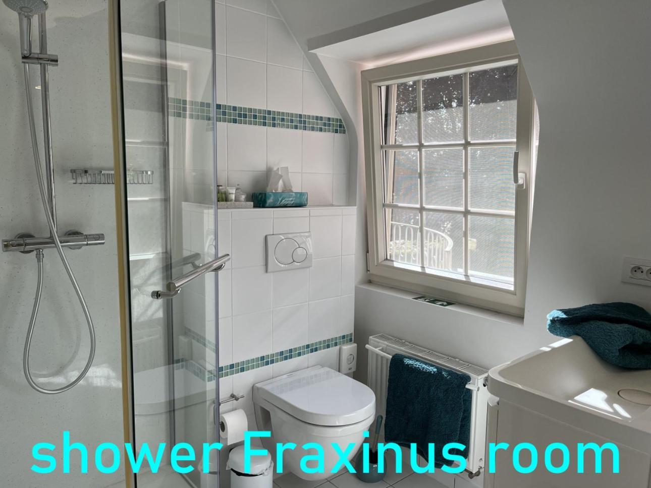 Cedrus Bed & Breakfast Jabbeke  Dış mekan fotoğraf