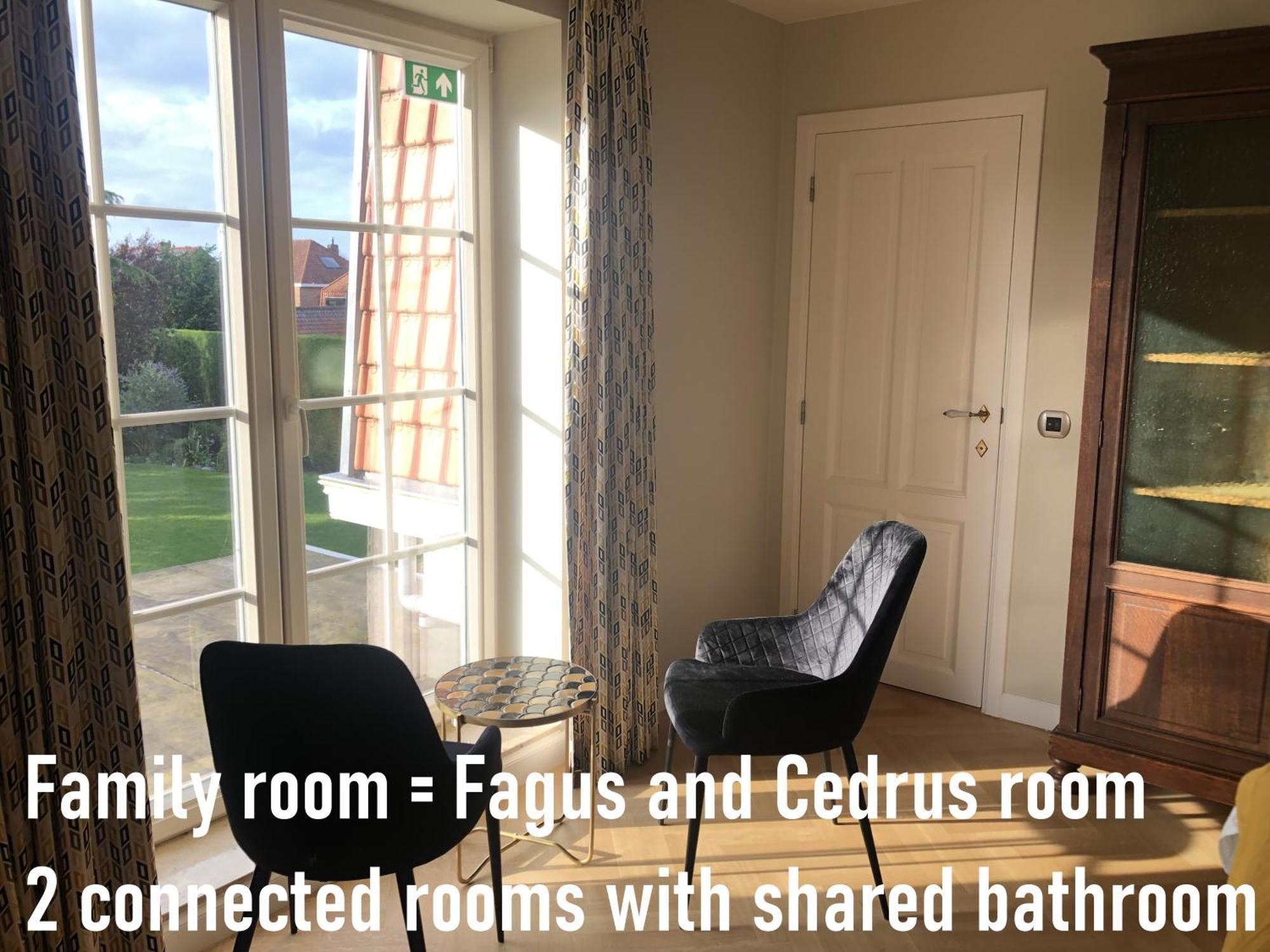 Cedrus Bed & Breakfast Jabbeke  Dış mekan fotoğraf